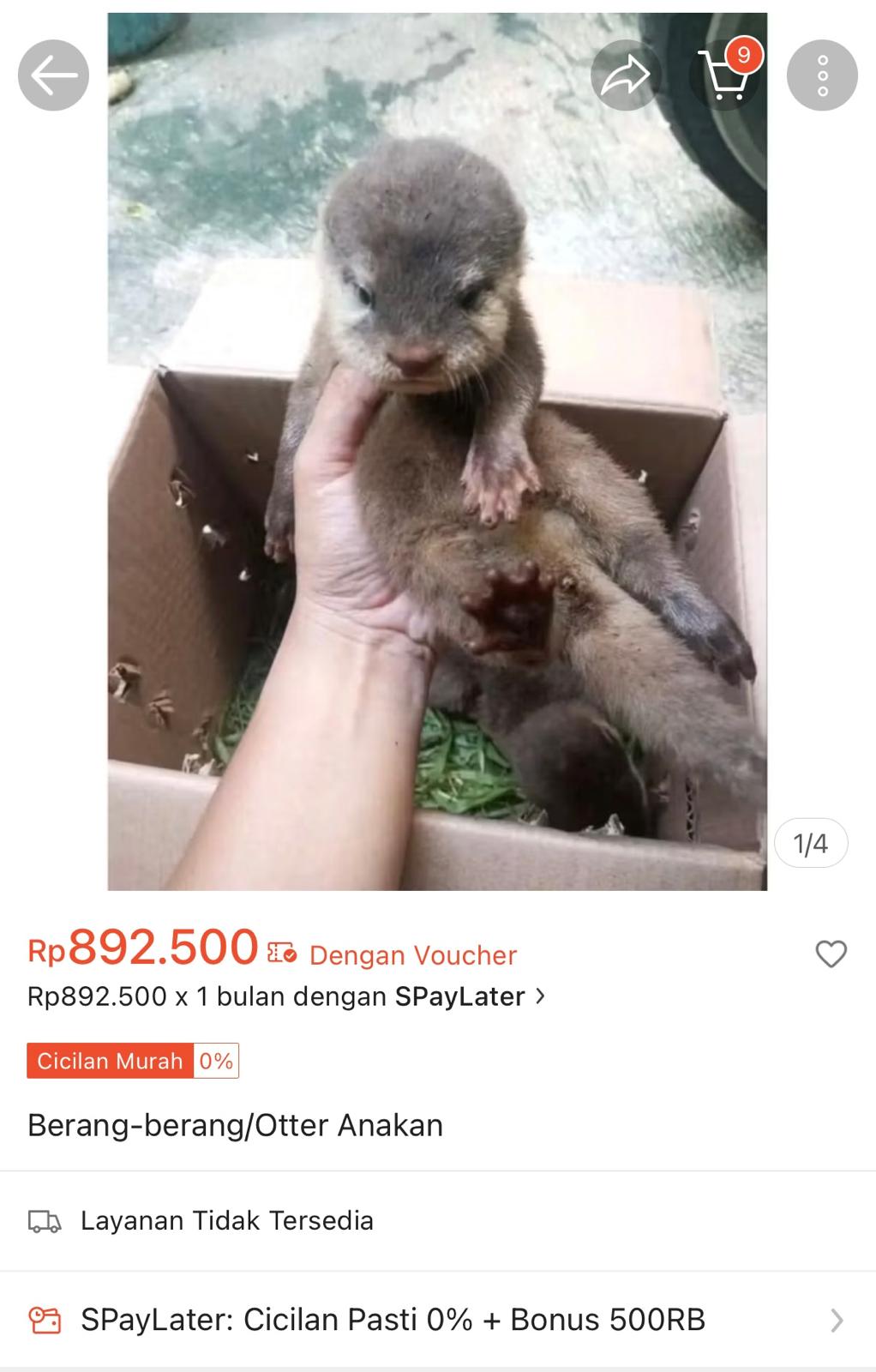 買い物アプリイメージ