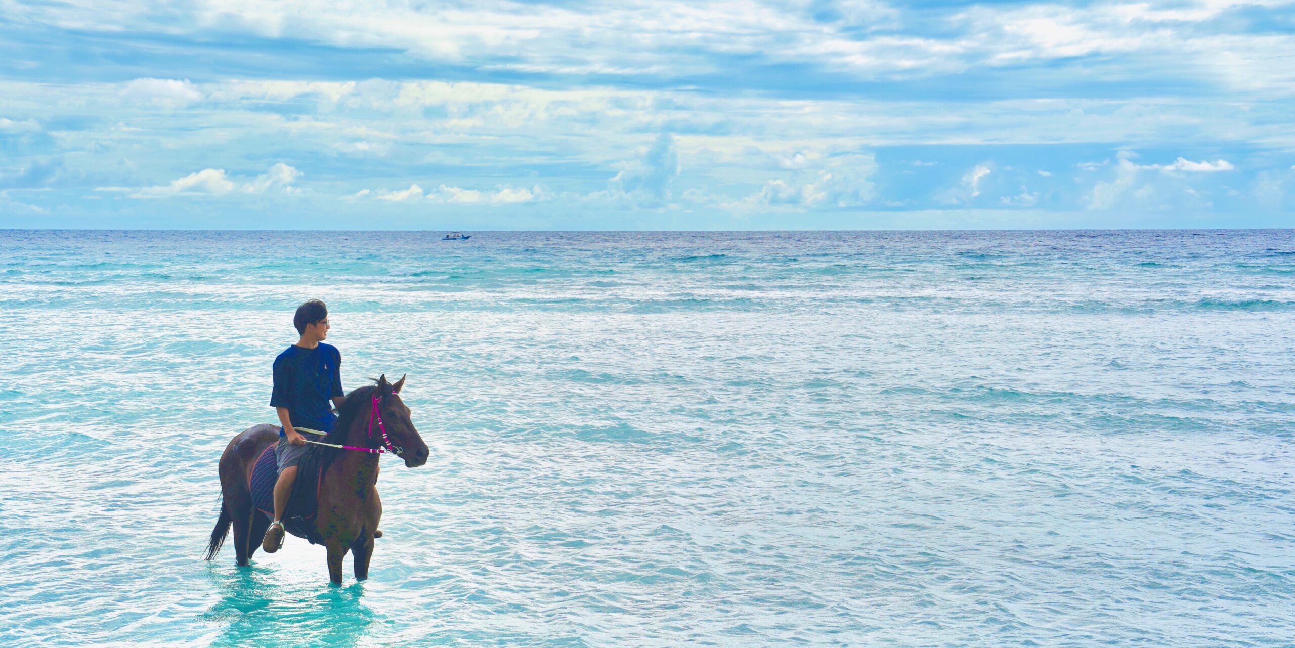 おすすめスポット